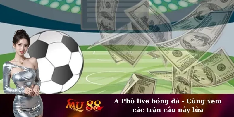 A Phò live bóng đá - Cùng xem các trận cầu nảy lửa