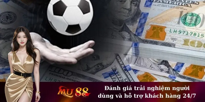 Đánh giá trải nghiệm người dùng và hỗ trợ khách hàng 24/7