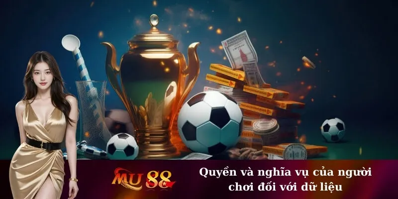 Quyền và nghĩa vụ của người chơi đối với dữ liệu