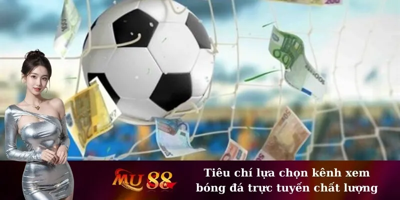 Tiêu chí lựa chọn kênh xem bóng đá trực tuyến chất lượng