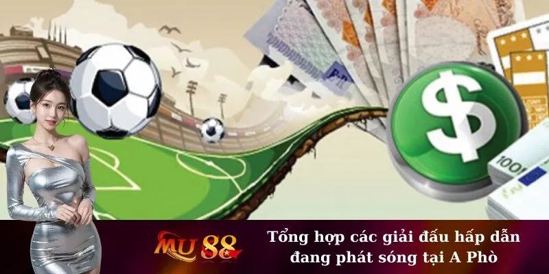 Tổng hợp các giải đấu hấp dẫn đang phát sóng tại A Phò