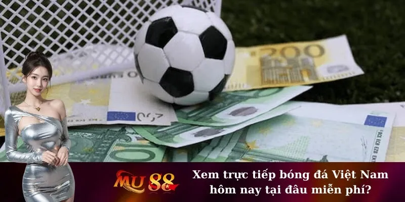 Xem trực tiếp bóng đá Việt Nam hôm nay tại đâu miễn phí?